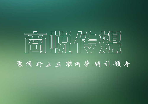 -低至5塊錢泵閥關鍵詞優化，新的一年企業網絡推廣走起~